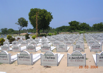 Шри-Ланка, фото № 1182 – фотографии Шри-Ланки