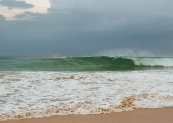 Коггала, Шри-Ланка, фото № 51570 – фотографии Шри-Ланки