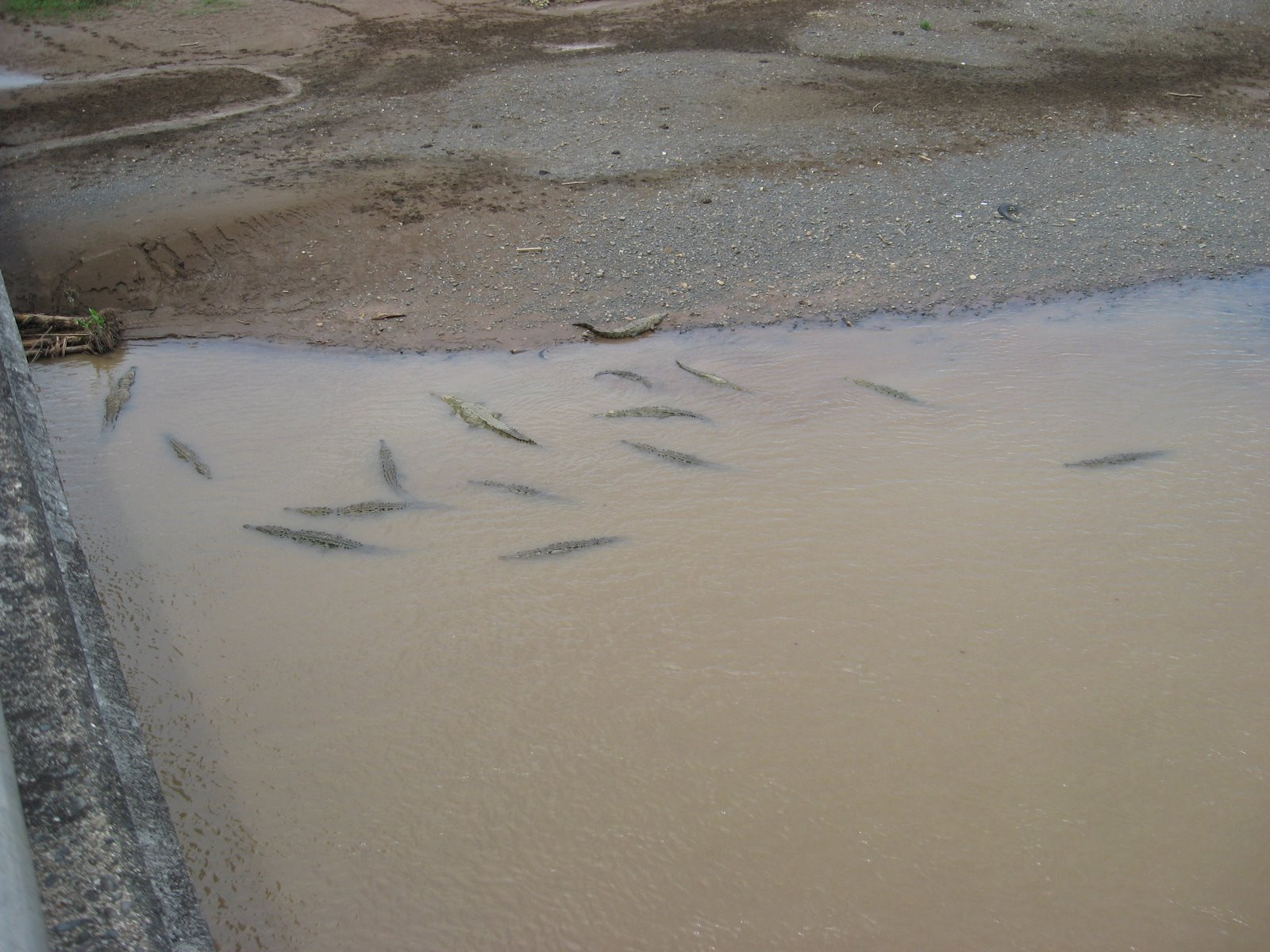 Коста-Рика, фото № 767 – фотографии Коста-Рики