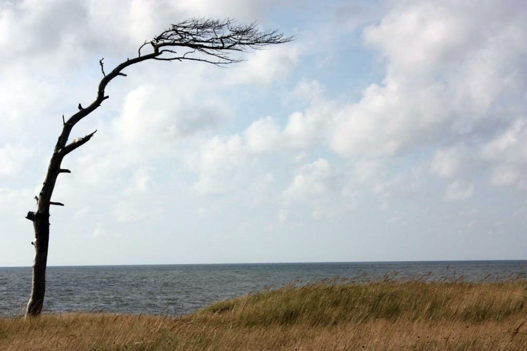 Классный вид на Балтику – фотографии Латвии