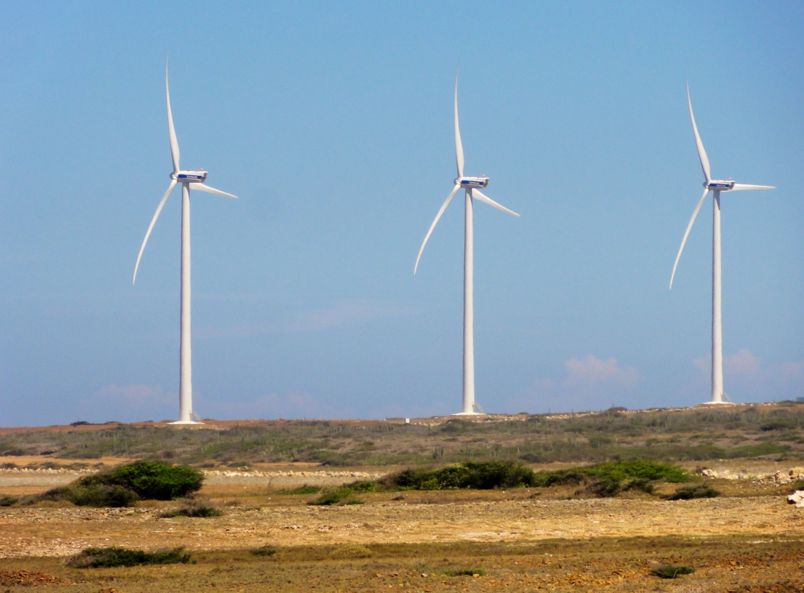 Аруба. Фото 19 – фотографии Арубы