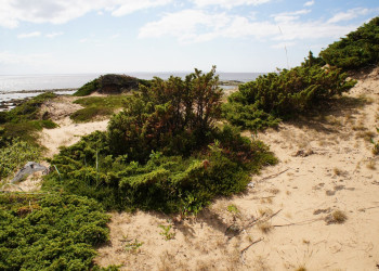 Берега острова Кий, Россия – фотографии России