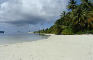 Пляж в Гаафу Алифу Атолл, Мальдивы – фотографии Мальдивских островов