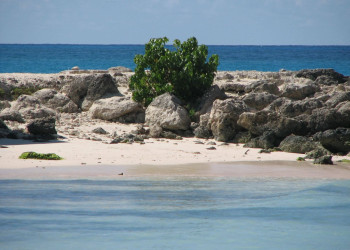 Пляж Miami Beach южного побережья Барбадоса – фотографии Барбадоса
