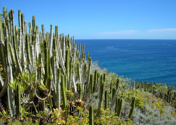Барловенто, Ла-Пальма остров, Канарские острова, фото № 31799 – фотографии Канарских островов