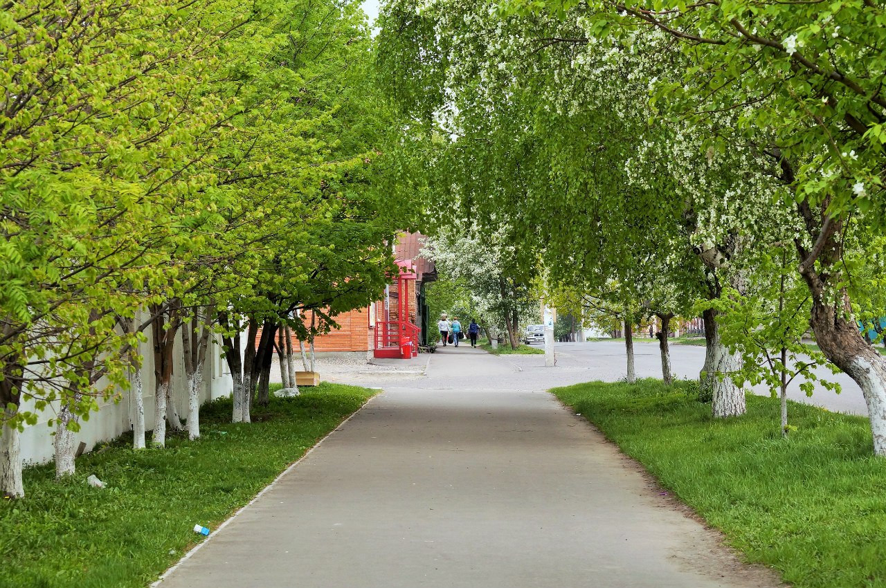 Город Бийск, Алтай – фотографии России