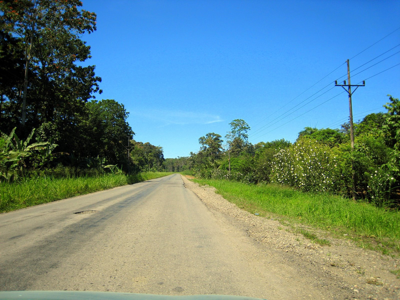 Пуэрто Вьехо, Лимон провинция, Коста-Рика, фото № 40226 – фотографии Коста-Рики