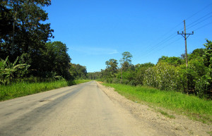 Пуэрто Вьехо, Лимон провинция, Коста-Рика, фото № 40226 – фотографии Коста-Рики