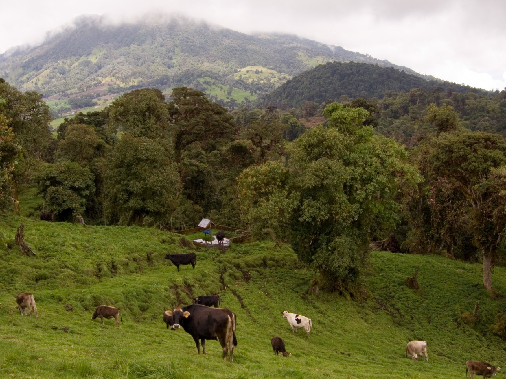 Турриалба Вулкано Национальный Парк, Картаго провинция, Коста-Рика, фото № 39135 – фотографии Коста-Рики