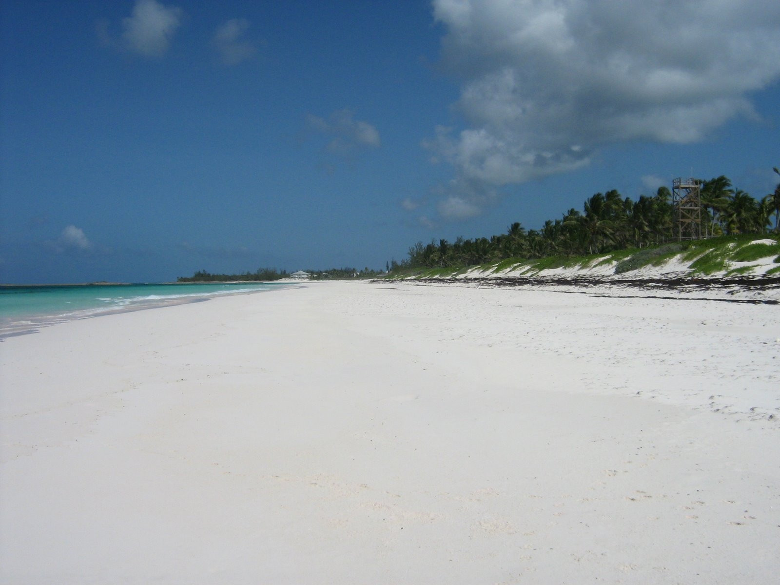 Пляж на острове Эльютера, Багамские острова. Фото 43 – фотографии Багамских островов