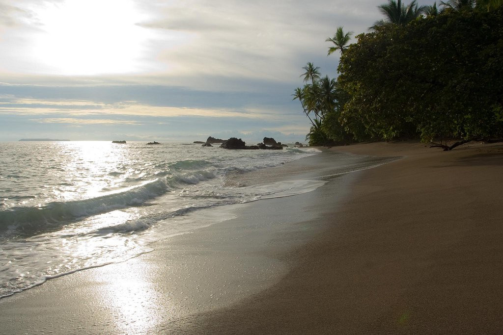 Плайя Сан Хосекито, Пунтаренас провинция, Коста-Рика, фото № 40931 – фотографии Коста-Рики