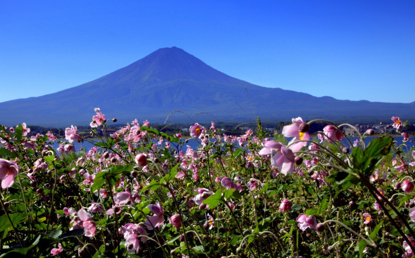 Фудзи вулкан – фотографии Японии