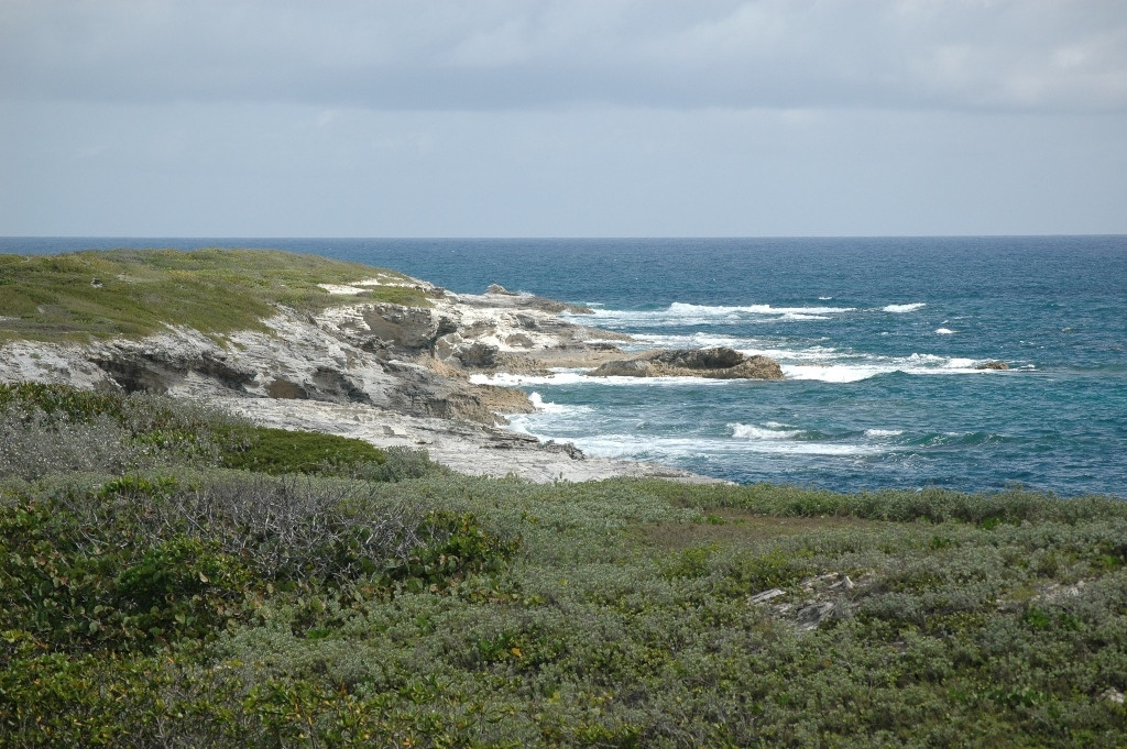 Берега острова Сан-Сальвадор, Багамские острова. Фото 5 – фотографии Багамских островов