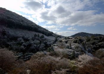 View from Kiyomizu Temple – фотографии Японии