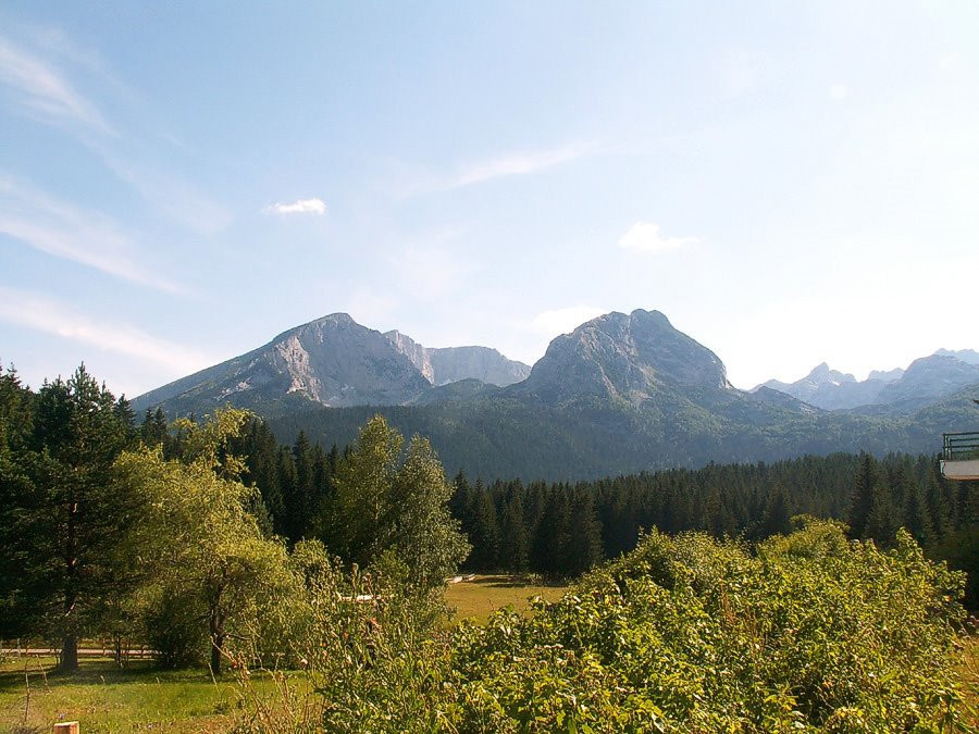 Природа в Дурмитор, Черногория. Фото 34 – фотографии Черногории