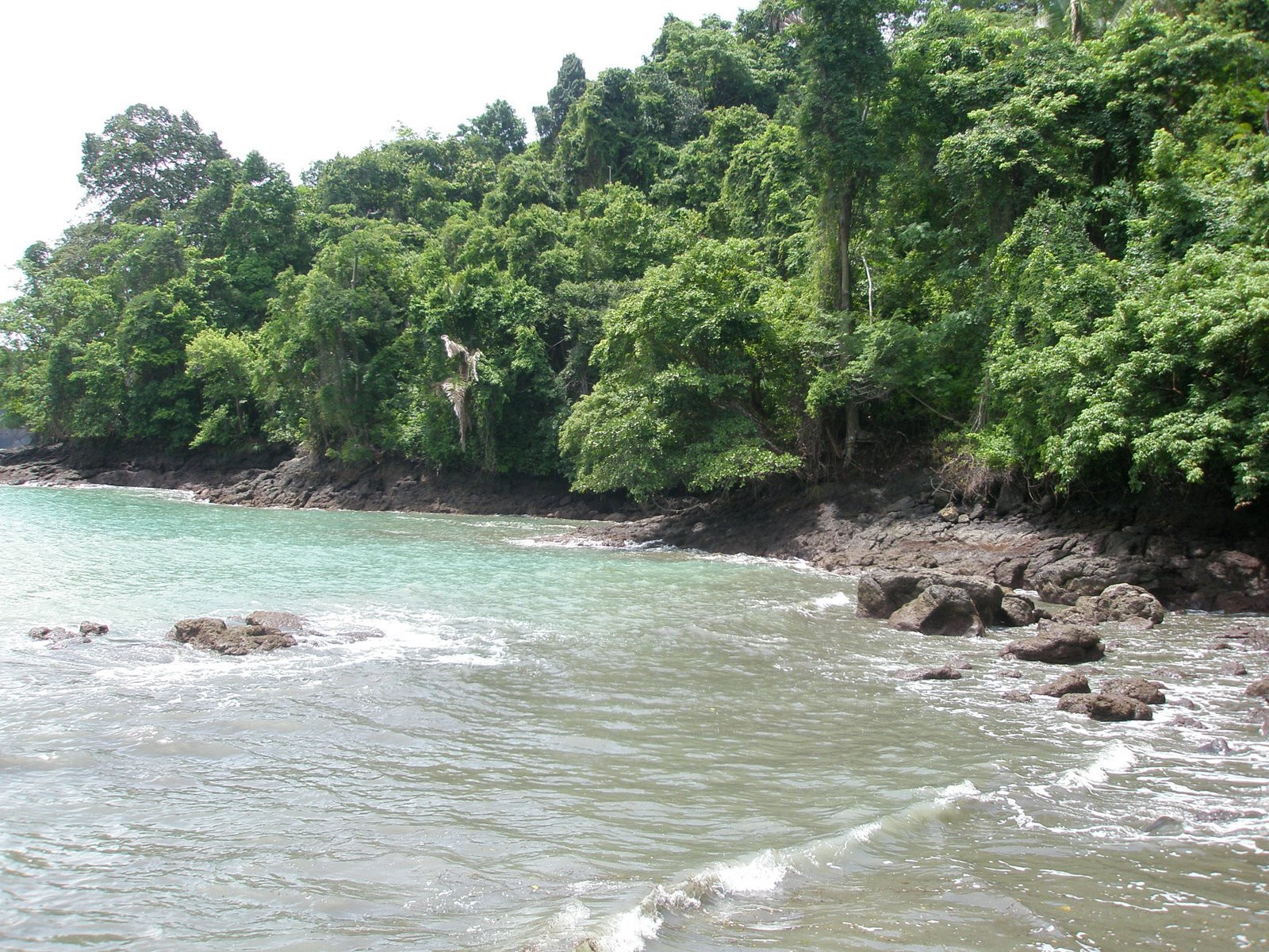 Мануэль Антонио, Пунтаренас провинция, Коста-Рика, фото № 40620 – фотографии Коста-Рики