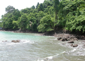 Мануэль Антонио, Пунтаренас провинция, Коста-Рика, фото № 40620 – фотографии Коста-Рики