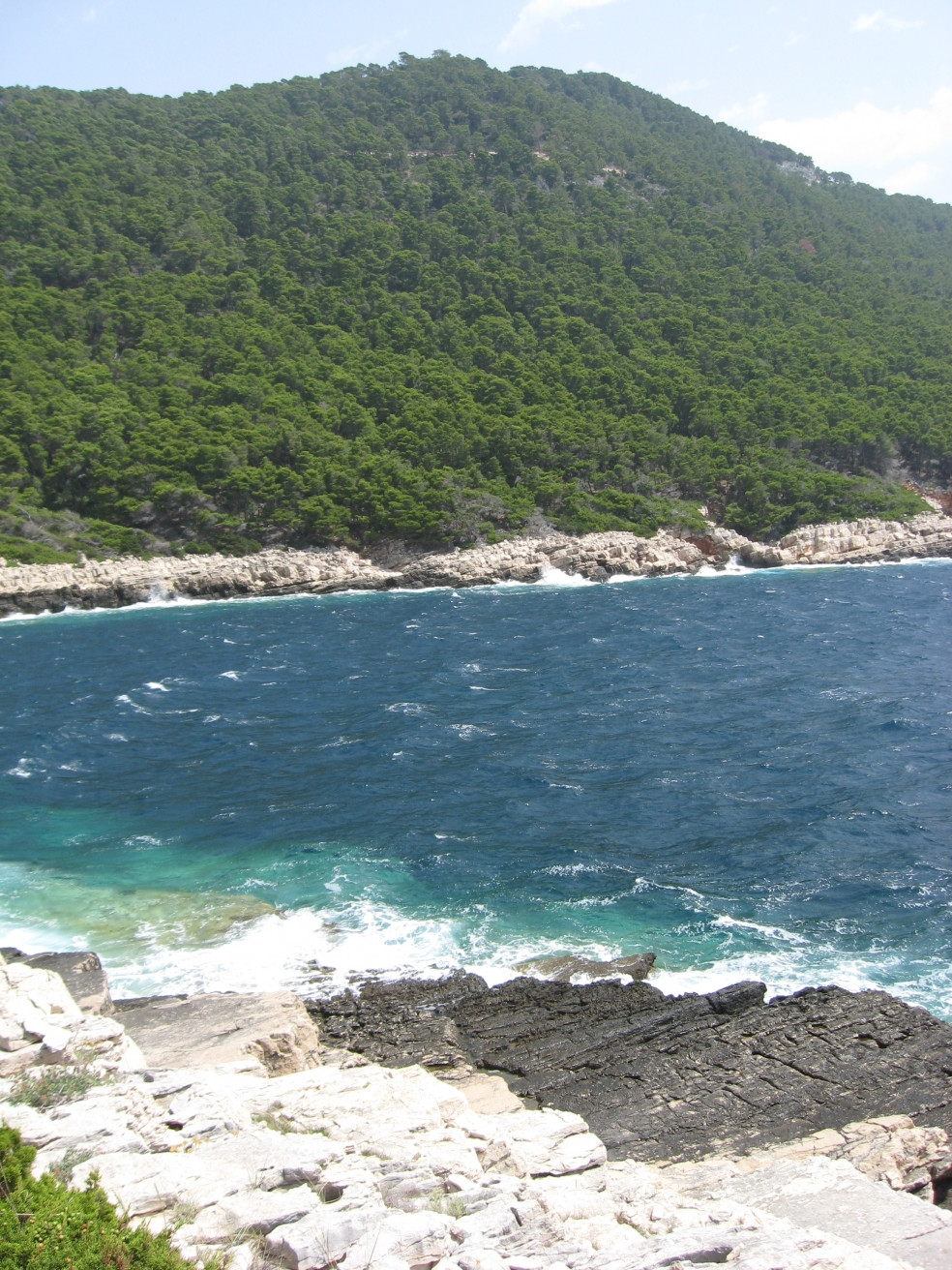Берега в Национальном парке, Хорватия. Фото 15 – фотографии Хорватии