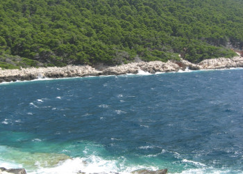 Берега в Национальном парке, Хорватия. Фото 15 – фотографии Хорватии