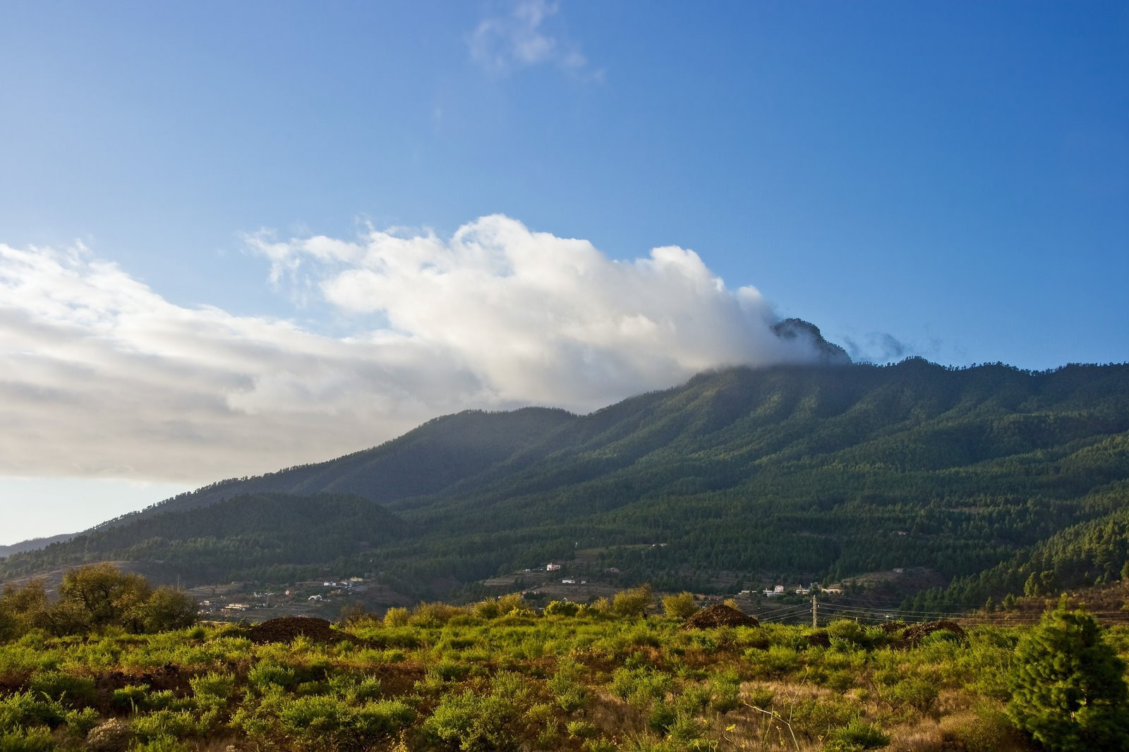 Ла-Пальма остров, Канарские острова, фото № 32050 – фотографии Канарских островов