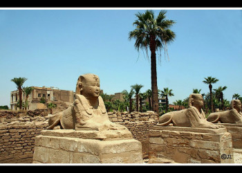 Луксор, Египет, фото № 35279 – фотографии Египта