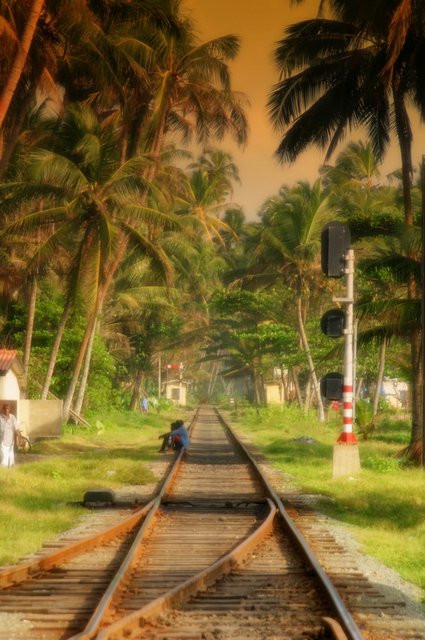 Бентота, Шри-Ланка, фото № 50659 – фотографии Шри-Ланки