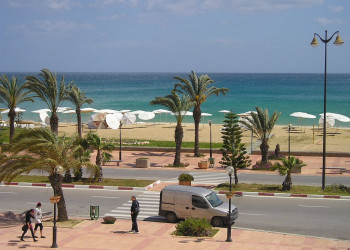 Улица в Северном Тунисе. Фото 10 – фотографии Туниса