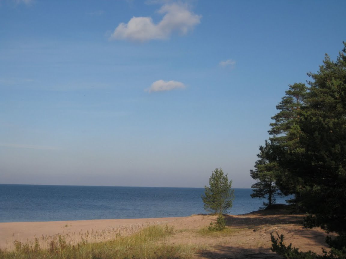 Берег на острове Ладожское, Россия. Фото 3 – фотографии России