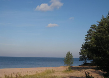 Берег на острове Ладожское, Россия. Фото 3 – фотографии России
