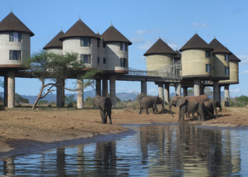 Лодж в Кенийском национальном парке Tsavo East – фотографии Кении