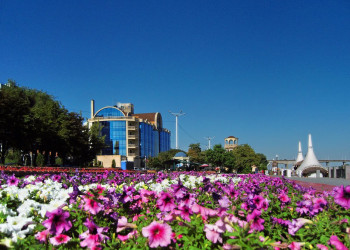 Цветы в Ростов-на-Дону, Россия – фотографии России