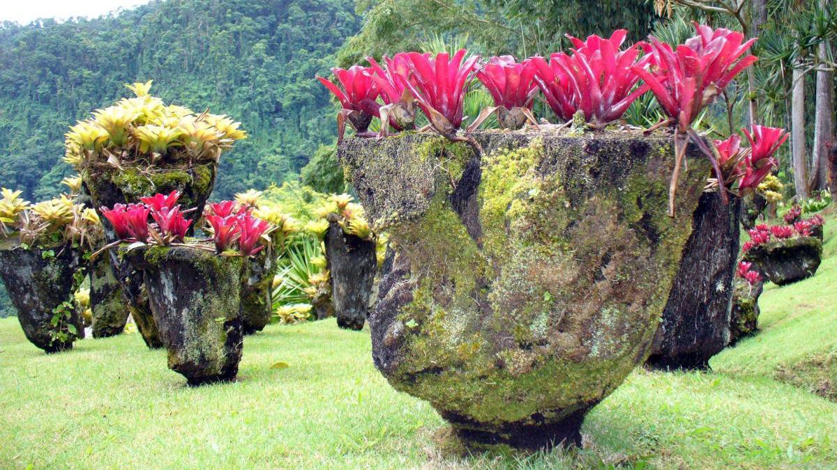 Ботанический сад Балата – фотографии Мартиники