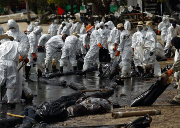 Разлив нефти в заливе Prao Bay. Июль 2013. Фото 6 – фотографии Таиланда