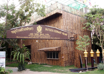 Деревня слонов (Elephant Village Pattaya), Тайланд – фотографии Таиланда