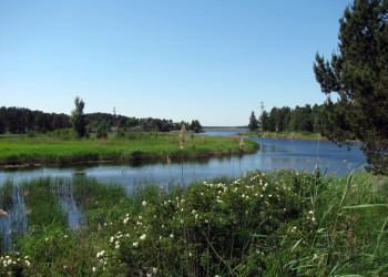 Природный пейзаж в Латвии – фотографии Латвии
