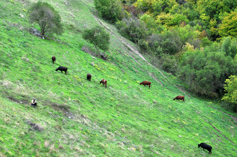 Район крепости Чуфут-Кале, Бахчисарай, Крым – фотографии России