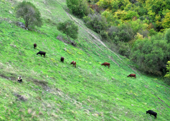 Район крепости Чуфут-Кале, Бахчисарай, Крым – фотографии России