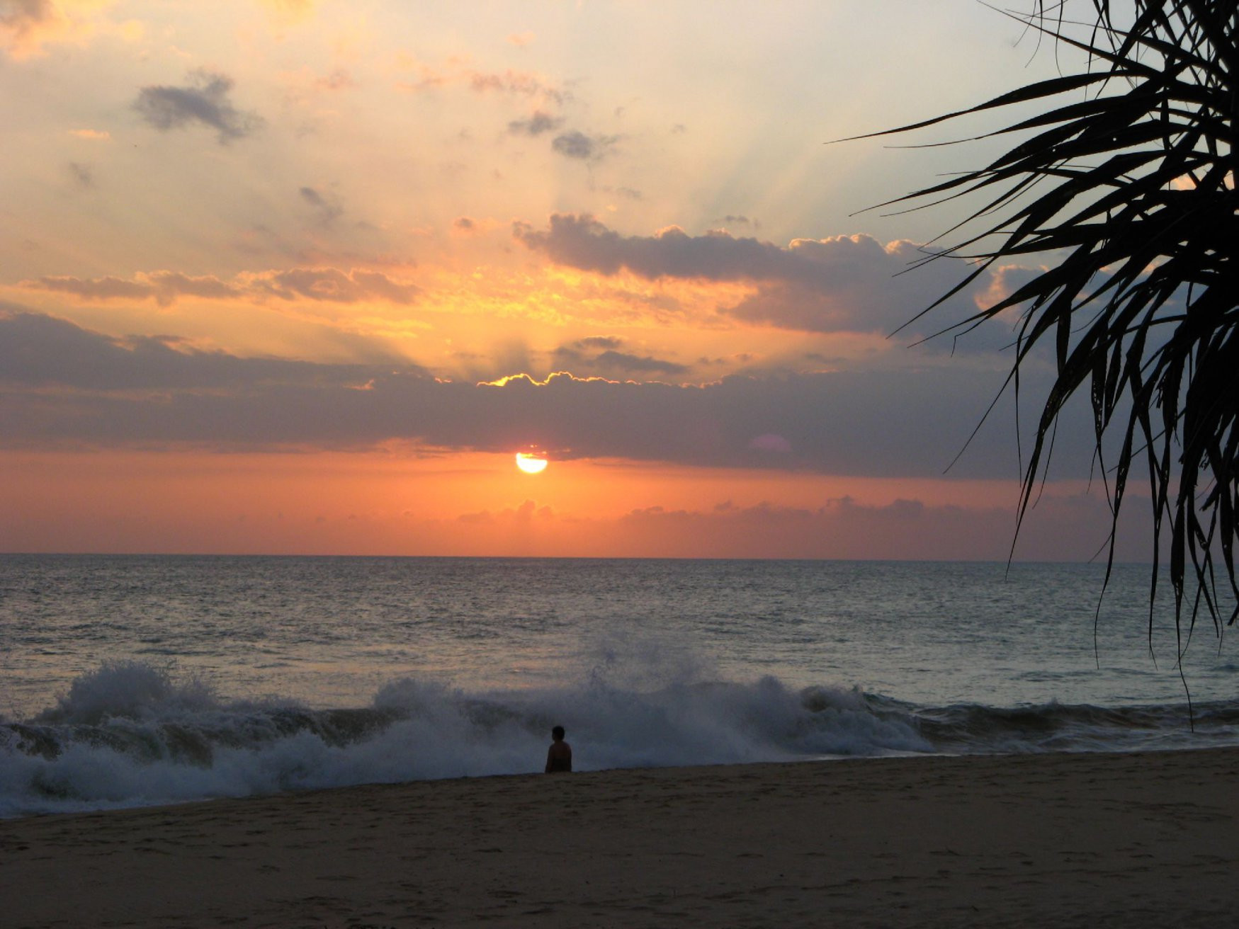 Коггала, Шри-Ланка, фото № 51588 – фотографии Шри-Ланки