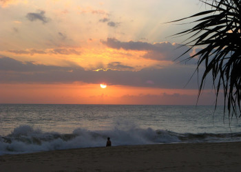 Коггала, Шри-Ланка, фото № 51588 – фотографии Шри-Ланки