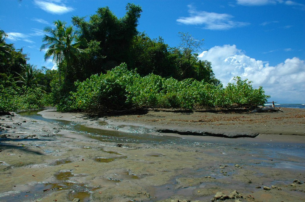 Корковадо Национальный Парк, Пунтаренас провинция, Коста-Рика, фото № 40505 – фотографии Коста-Рики