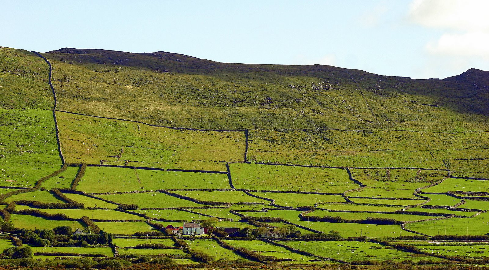 Ирландия, фото № 2544 – фотографии Ирландии