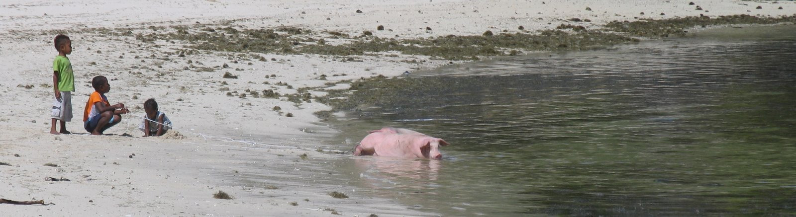 Фиджи, фото № 1103 – фотографии Фиджи