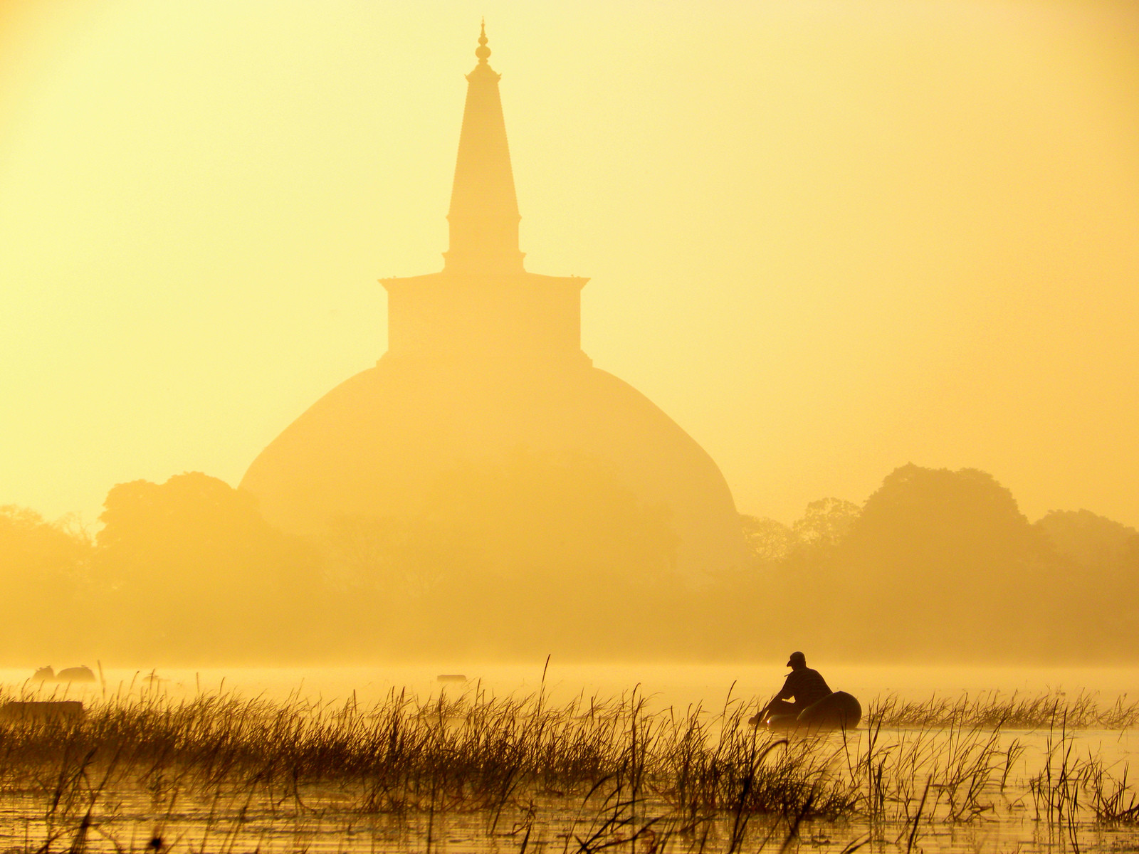 Ступа Рувановелли (Ruwanwelisaya), Анурадхапура, Шри-Ланка – фотографии Шри-Ланки