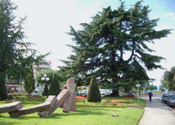 Парк в Эвиан-ле-Бен, Франция – фотографии Франции