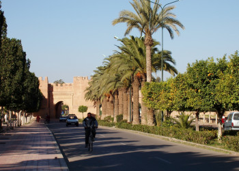 Тарудант, Марокко, фото № 8088 – фотографии Марокко