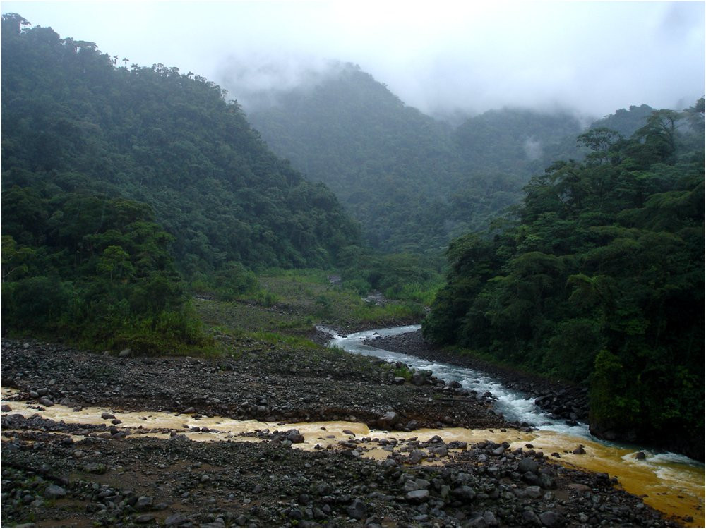 Браулио Каррильо Национальный Парк, Эредия провинция, Коста-Рика, фото № 39997 – фотографии Коста-Рики