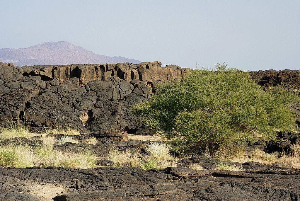 Эфиопия.Фото 7 – фотографии Эфиопии