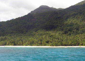 Природа острова Силуэт, Сейшелы. Фото 4 – фотографии Сейшельских островов