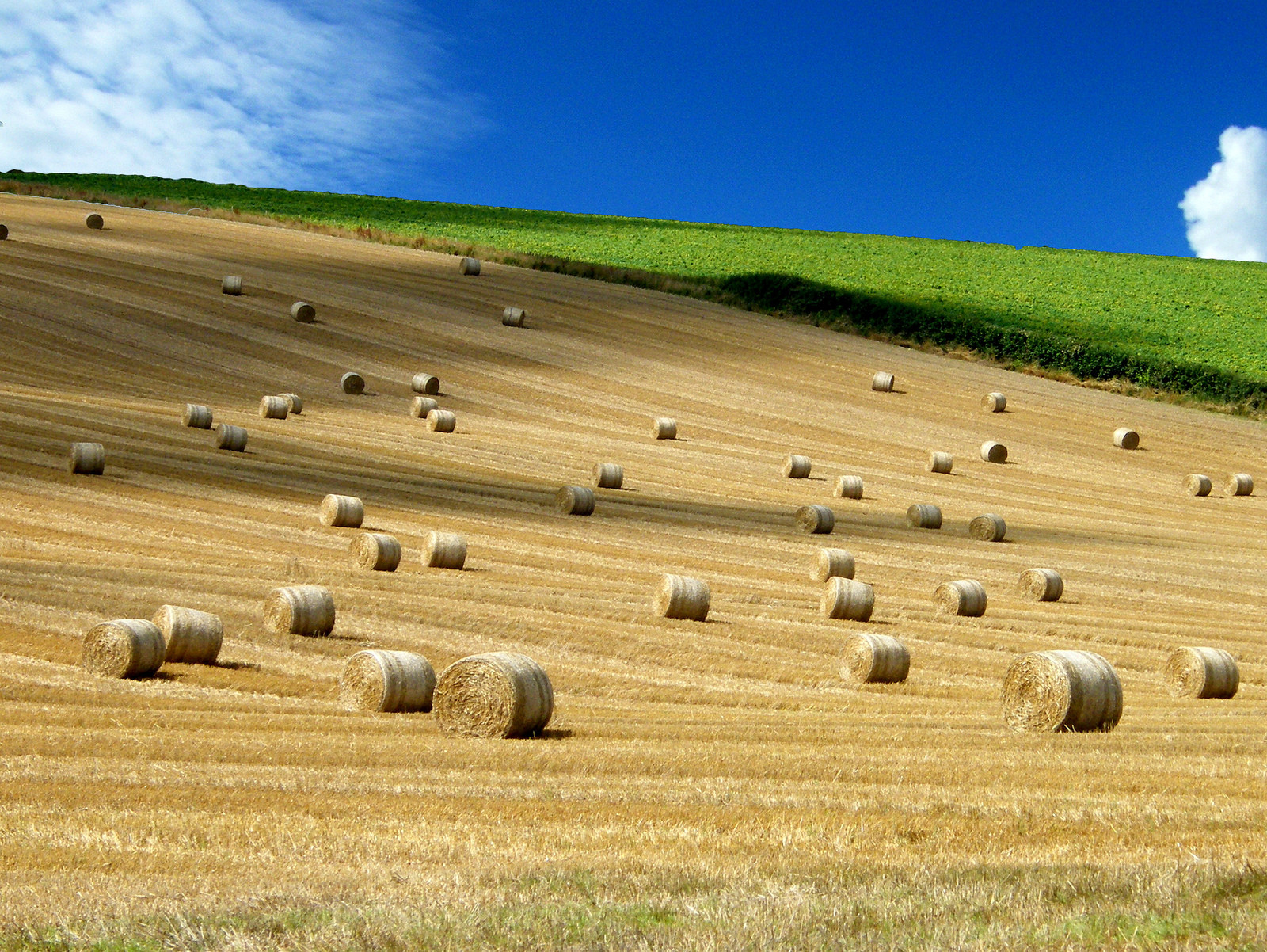 Путешествуем по Голландии. Фото 6 – фотографии Нидерландов