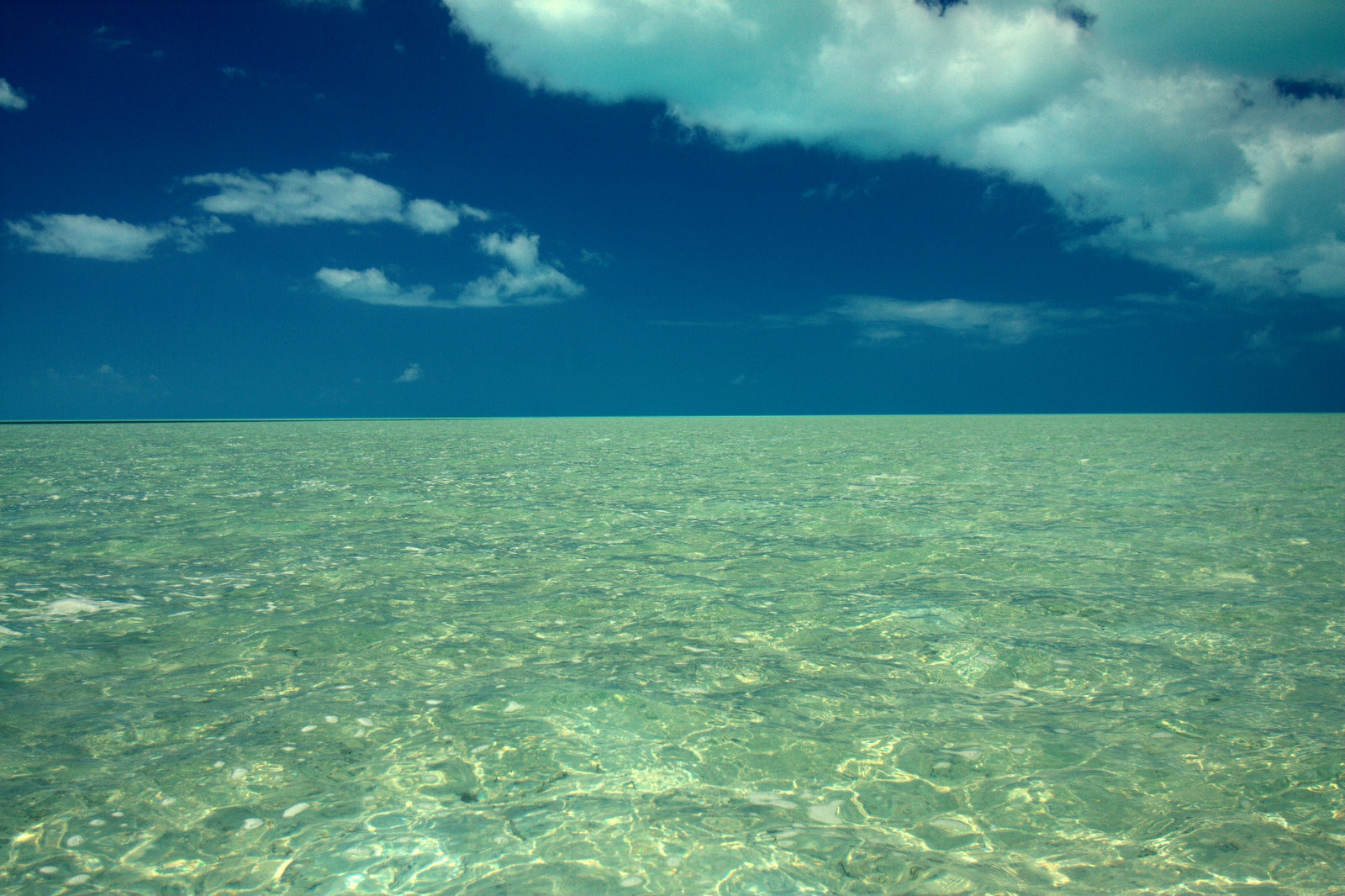 Море на острове Андрос, Багамские острова. Фото 1 – фотографии Багамских островов